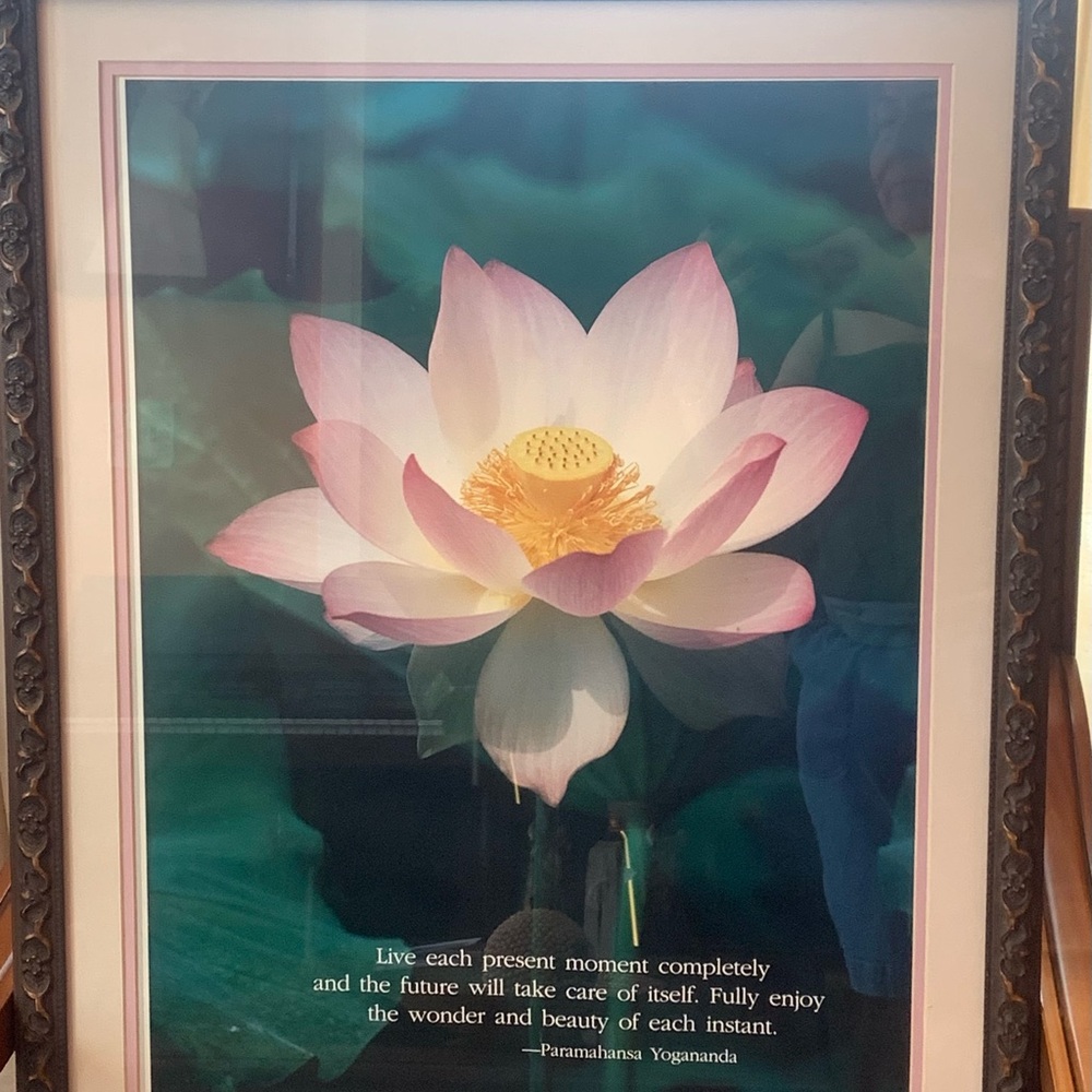 Lotus Flower print, brown wood frame